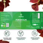 Forskolin 400 mg - 90 vegane Kapseln