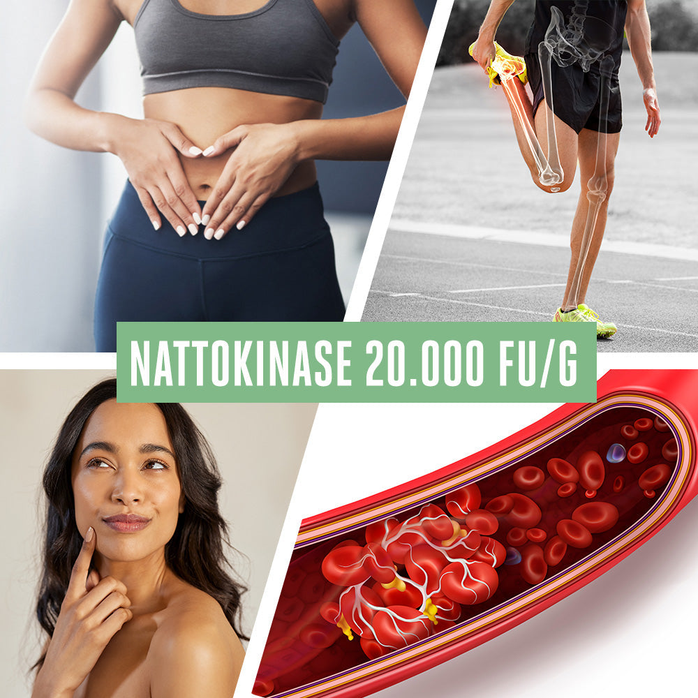 Nattokinase liposomal 100 mg - 20.000 FU - 180 Vegane Softgels