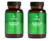 Astragalus Extrakt - 10.000 mg - 90 vegane Kapseln