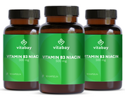 Vitamin B3 Niacin Flush free 500 mg - 90 vegane Kapseln